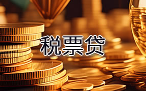 红河税票贷